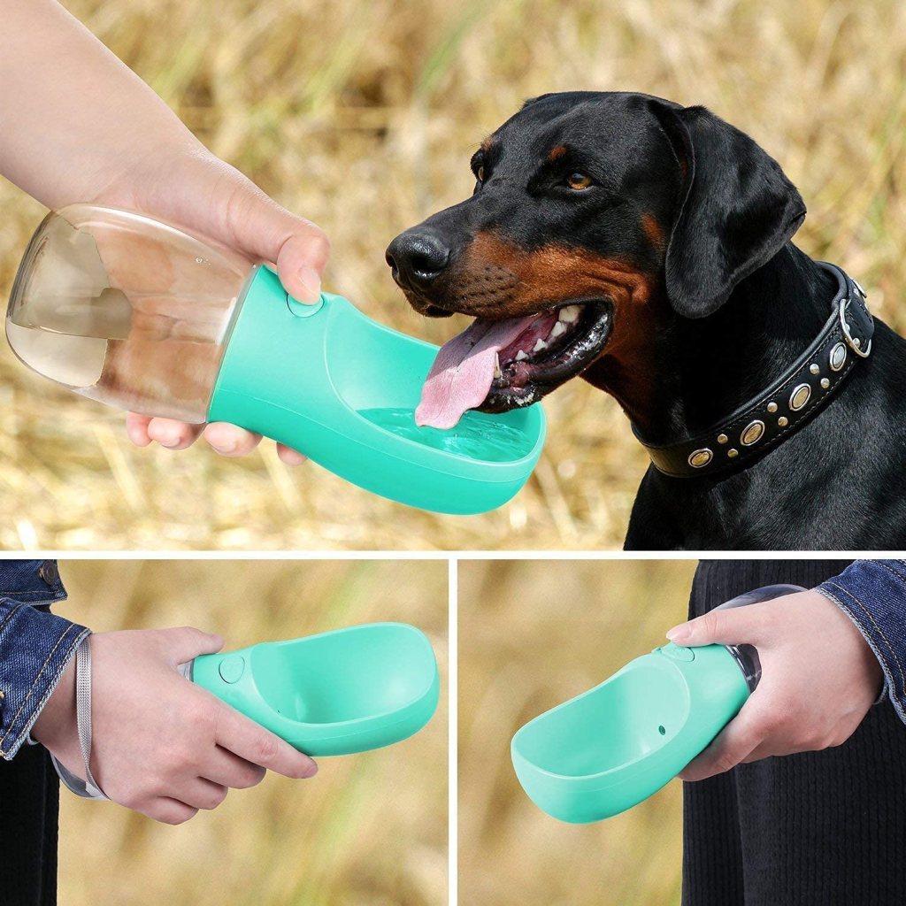 Pet Care Cup 350ml Outdoor